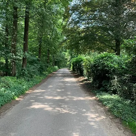 Romantisch 'het Vogelhuisje' Holiday home *