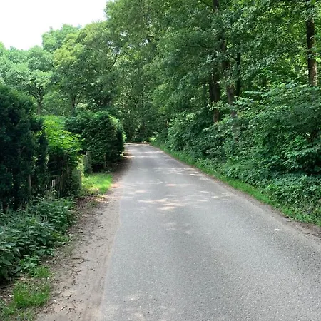 Ferienhaus Romantisch 'het Vogelhuisje' Lunteren