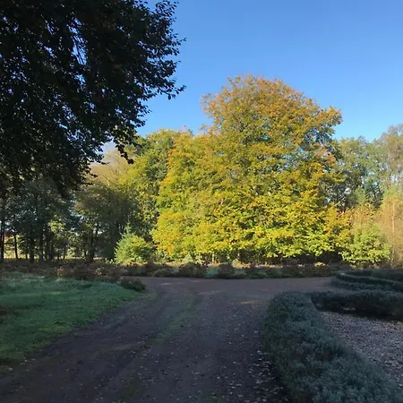 Romantisch 'het Vogelhuisje'