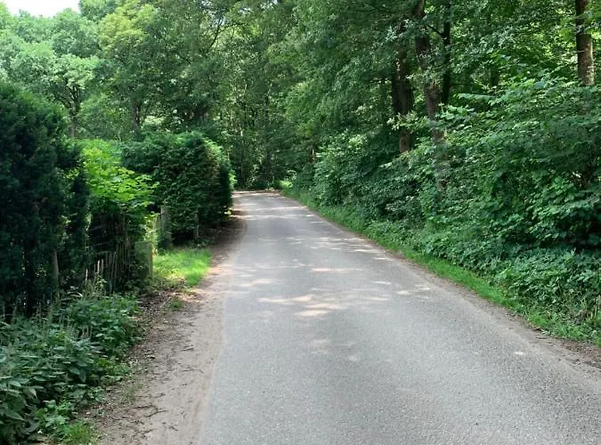 Hébergement de vacances Romantisch 'het Vogelhuisje' Lunteren