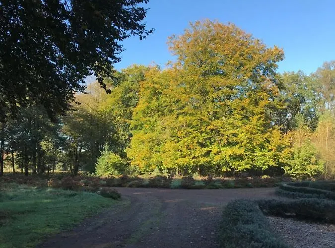 Romantisch 'het Vogelhuisje'