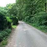 Dom wakacyjny Romantisch 'het Vogelhuisje' Lunteren