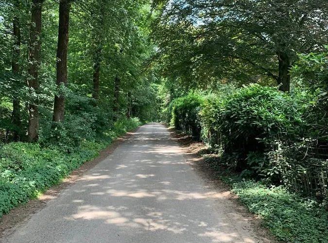 Romantisch 'het Vogelhuisje' Casa de Férias *